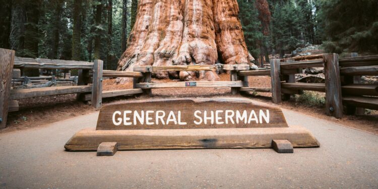 Sequoia & Kings Canyon – National Park Service (.gov)