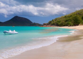 Antigua and Barbuda named in Trump Administration’s proposed travel ban list amid CIP scrutiny – Antigua Observer Newspaper