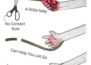 Manfred Reyes Villa: The mayor convicted of “anti-economic misconduct” running to be Bolivia’s next president – Latin America Reports