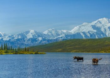 Alaska scientist Mike Sfraga confirmed as U.S. Arctic ambassador-at-large – Alaska Beacon
