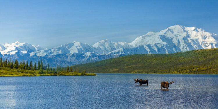 Alaska scientist Mike Sfraga confirmed as U.S. Arctic ambassador-at-large – Alaska Beacon