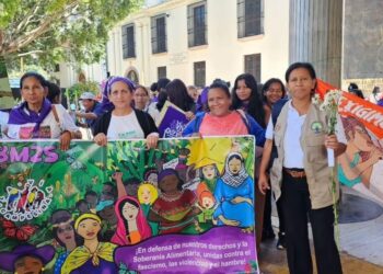 Challenges and Progress in Honduras Democracy – Washington Office on Latin America | WOLA