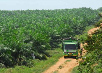 Devex Dish: A new vision for crops and soil in Guatemala – Devex