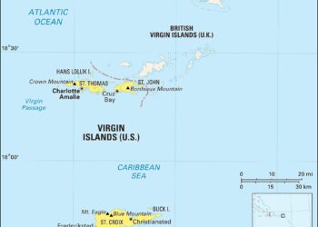Virgin Islands Representative Shakes Up Speaker Election with Unexpected Interruption!