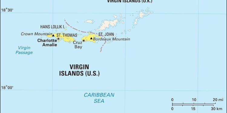 Virgin Islands Representative Shakes Up Speaker Election with Unexpected Interruption!