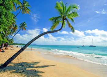 Martinique Takes a Stand: Trial of Social Protests Leader Petitot Kicks Off