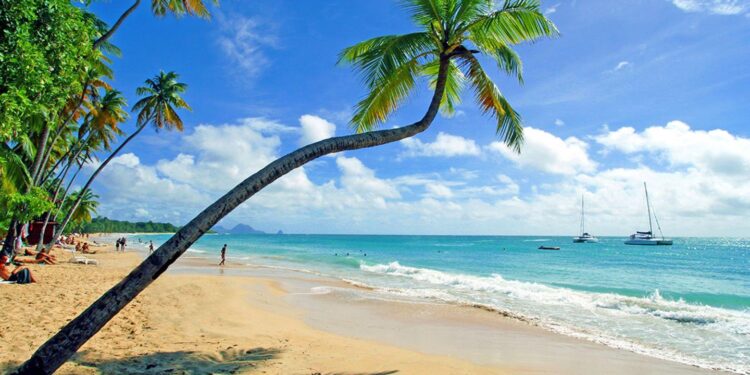 Martinique Takes a Stand: Trial of Social Protests Leader Petitot Kicks Off