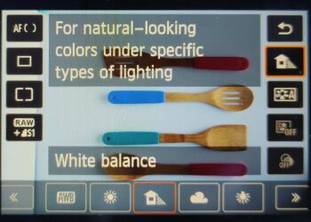 Discover the Caribbean: Antigua, Bahamas, Dominica, Guyana, Saint-Martin, and Turks & Caicos Unite for an Unforgettable Showcase at WTM 2025 in São Paulo!