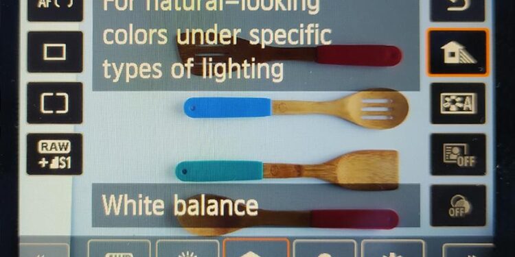 Discover the Caribbean: Antigua, Bahamas, Dominica, Guyana, Saint-Martin, and Turks & Caicos Unite for an Unforgettable Showcase at WTM 2025 in São Paulo!