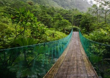 Thrilling Showdown Ahead: Costa Rica Takes on Suriname in Crucial CONCACAF Nations League Clash!