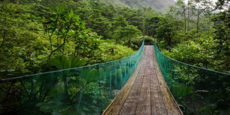 Thrilling Showdown Ahead: Costa Rica Takes on Suriname in Crucial CONCACAF Nations League Clash!