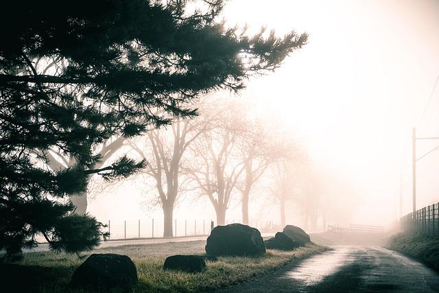 Building Educational Pathways for Future Generations