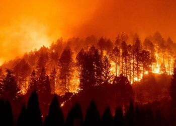 From LA to Latin America: The Expanding Fire Crisis Threatening Mexico to Argentina