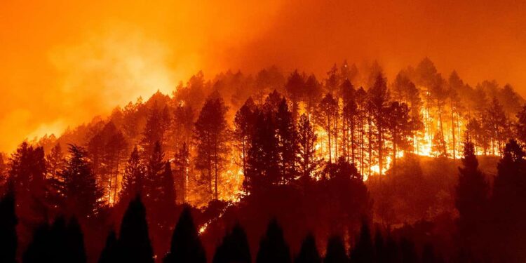 From LA to Latin America: The Expanding Fire Crisis Threatening Mexico to Argentina