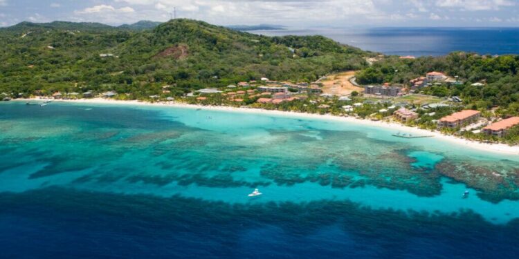 Honduras Primaries: Voter Frustration Boils Over Security and Economic Woes