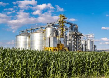 Unlocking the Potential of Agro-Industry in French Guiana