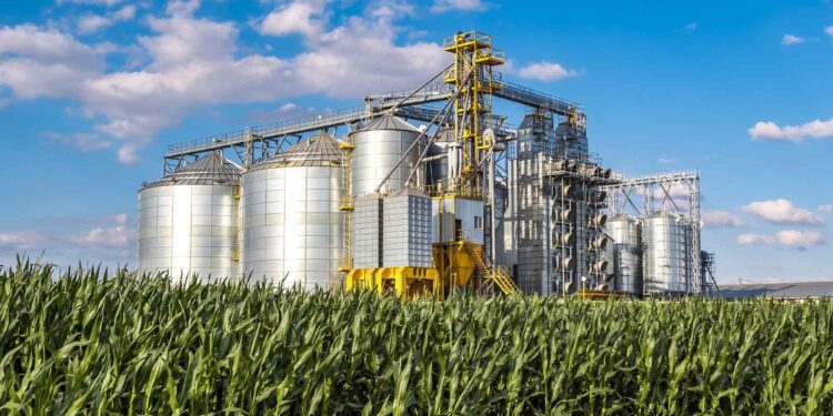 Unlocking the Potential of Agro-Industry in French Guiana