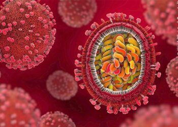 Rising Virus Cluster Worries in French Guiana Town Near Brazil