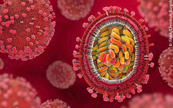 Rising Virus Cluster Worries in French Guiana Town Near Brazil