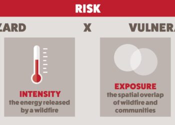 Summer Wildfire Risks: What Alabama Residents Need to Know!