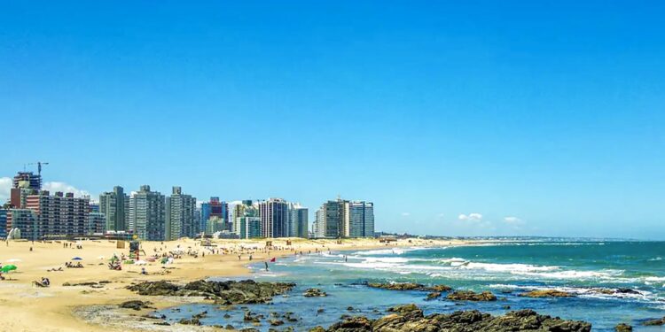 Uruguay Team Speaks Out: Security Concerns Spark Clash at Copa América – ‘Our Family is in Danger