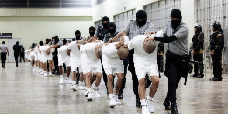 Surviving the Journey: The Harrowing Experiences of Venezuelans Deported to El Salvador