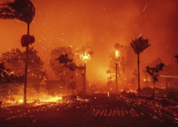 Tragedy Strikes: Los Angeles Fires Claim 24 Lives, 16 Still Missing