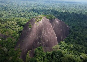 Unlocking Climate Resilience: How Suriname and Guyana Are Leveraging Oil Wealth for Adaptation