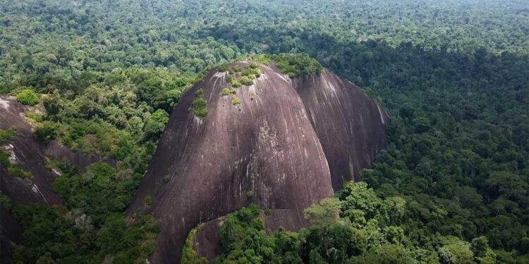 Unlocking Climate Resilience: How Suriname and Guyana Are Leveraging Oil Wealth for Adaptation