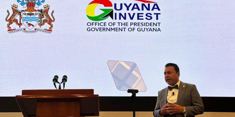 Unlocking Opportunities: Guyana’s 2024 Investment Climate Insights