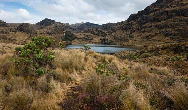 Ecuador’s Noboa Shuts Borders in a Bold Move Before Presidential Election