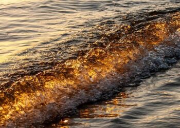 Exploring the Beach Where a Missing American Student Last Spent Her Moments
