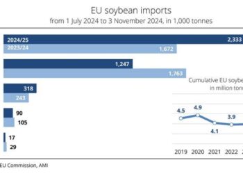 China Set to Boost Soybean Imports from Brazil Amid Ongoing Trade Tensions
