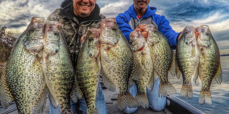 Top Crappie Fishing Hotspots Across America You Need to Explore!