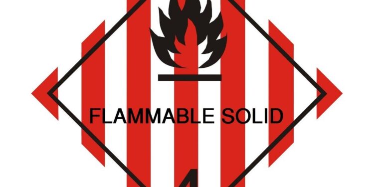 Latin America’s Economic Outlook: Navigating Challenges Ahead, with a Spotlight on Argentina