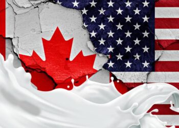 Navigating Trade Tensions: Uncovering Opportunities Between America and Canada