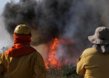 Bolivia’s Devastating Wildfires: A Record-Breaking Blaze Threatens Homes and Farms