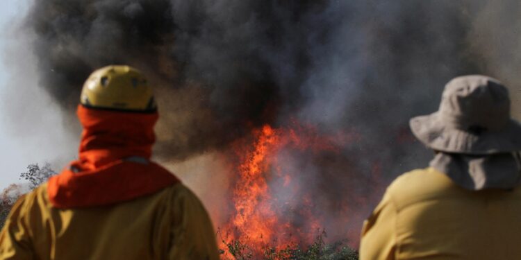 Bolivia’s Devastating Wildfires: A Record-Breaking Blaze Threatens Homes and Farms