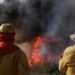 Bolivia’s Devastating Wildfires: A Record-Breaking Blaze Threatens Homes and Farms