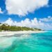 Barbados Tourism Faces Uncertain Future Amid US Tariff Threats