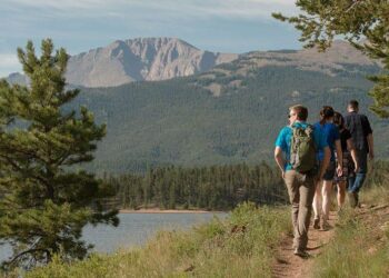Local Hikers Uncover Stunning Pre-European Petroglyphs on Montserrat!