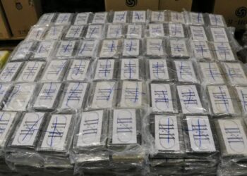 Massive Cocaine Haul in Ecuador: 36 Arrested as Authorities Seize 73 Tonnes of Drugs!