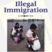 Securing Our Nation: The Case for Ending Illegal Immigration