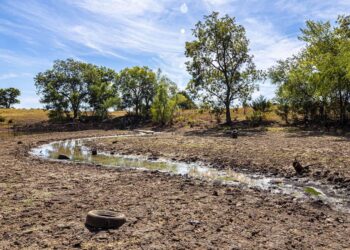 Fighting Hunger in Guatemala: A Farming Program Takes on the Drought Challenge