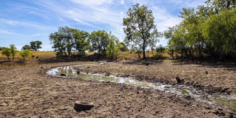 Fighting Hunger in Guatemala: A Farming Program Takes on the Drought Challenge