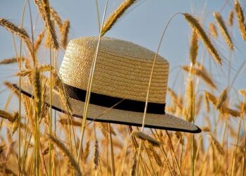 Viral Anti-MAGA Hat in Greenland Sparks Conversation: ‘Make America Go Away