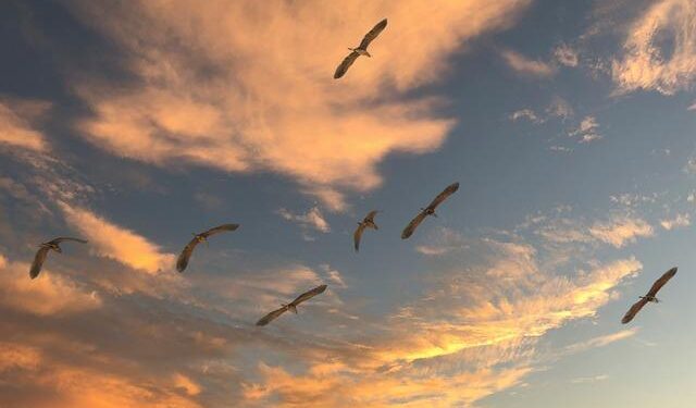 Exploring Migration in the Dominican Republic: Uncovering Challenges and Unlocking Opportunities