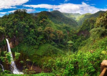 From Costa Rica to Glory: Gonzalo Segares Leads USA’s U-17 World Cup Quest