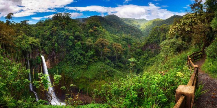 From Costa Rica to Glory: Gonzalo Segares Leads USA’s U-17 World Cup Quest