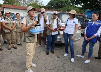 Bolivia Secures $1.1 Million to Combat Dengue Emergency!